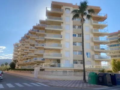 a tall building with a palm tree in front of it at Los Naranjos Solo Familias in Casas Las Basas