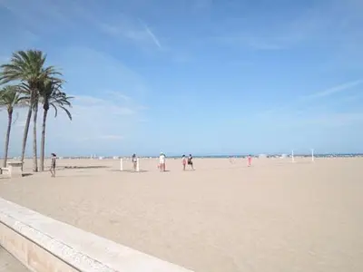 a group of people on a beach with palm trees at New Room in the beach in Valencia