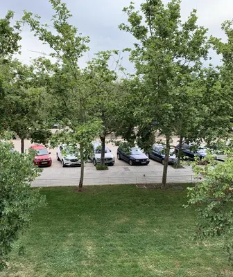 a group of cars parked in a parking lot with trees at Art and Sciences view luxury apartment in Valencia