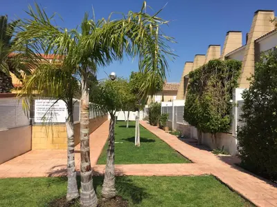 a row of palm trees in a yard at Ideal house at the Beach in Sagunto(Valencia) in Sagunto