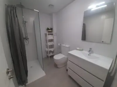 a bathroom with a toilet and a sink and a shower at Sol Playa Suites in Valencia