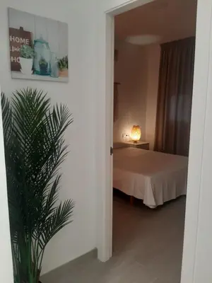 a bedroom with a bed and a potted plant at Sol Playa Suites in Valencia