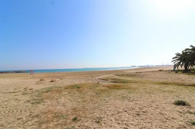 an empty beach with palm trees on the horizon at Global Vacacional, Estudio para parejas en la playa del Puerto de Sagunto in Puerto de Sagunto