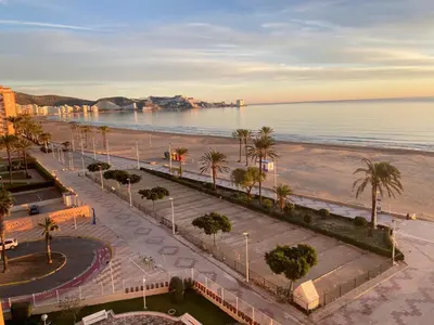 a view of a beach with palm trees and the ocean at 1a línea con PISCINA Nuevo in Cullera