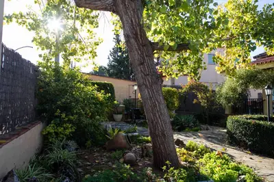 a tree in the middle of a garden at FLORIT FLATS - The Orange Lemon Tree House in La Eliana