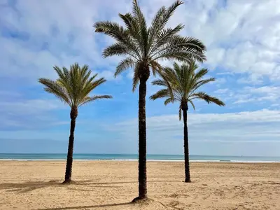 a sandy beach with palm trees and the ocean at Apartamento Mar y Montaña in Cullera