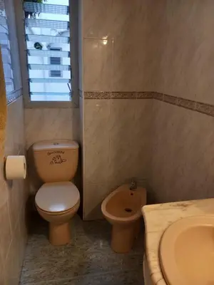 a bathroom with a toilet and a sink at habitación grande en piso compartido con 2 adultos in Valencia