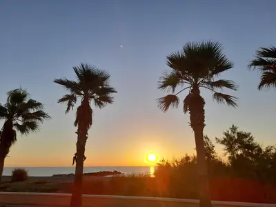 a sunset with palm trees in front of the ocean at Fantástico Apartamento en Primerísima Línea Playa in La Torre