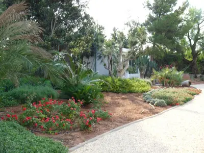 a garden with flowers and plants in front of a house at Huerto del Medico in Reig