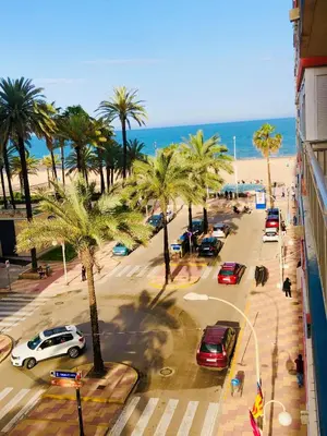 a view of a street with palm trees and the beach at Apto POSEIDON CON PARKING EN EDIFICIO SUBTERRANEO in Cullera