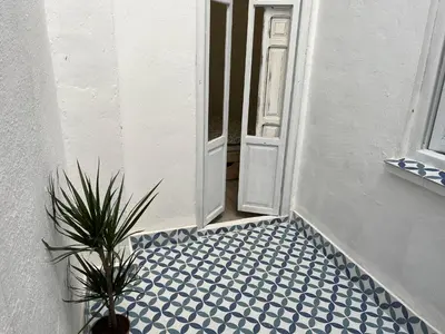 an open door with a potted plant in a hallway at Alzira bonita Apartamento B con patio, la Casella in Alzira
