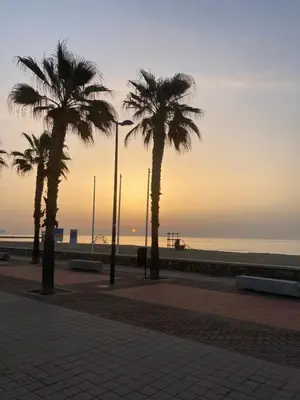 two palm trees on a sidewalk near the beach at 3Apto con piscina en la playa cerca de VLC con AC in Puzol