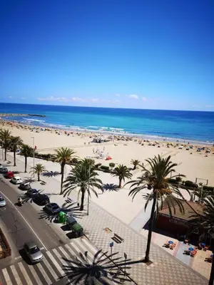a beach with palm trees and a beach with people at Apartamento a 5 minutos distancia de playa en Puerto de Sagunto -Full Apartment -120m2 in Puerto de Sagunto