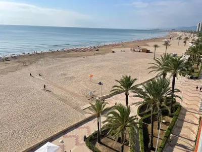 a view of a beach with palm trees and the ocean at Primera línea en Cullera con piscina. Inmejorables vistas in Cullera