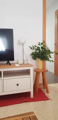 a living room with a tv and a potted plant at Apartamento C2 1Dormitorio in Lliria