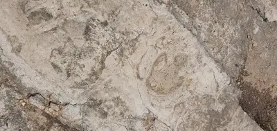a rock with a letter written on it at La Chirrichana in Bicorp
