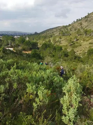 a group of people walking up a hill at Casa Bienvenida - Carcaixent in Carcagente
