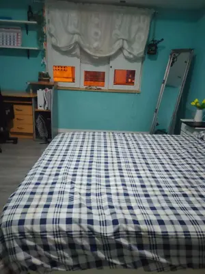 a bed in a room with a blue wall at Vacansis Pintor Sorolla 2 in Cullera