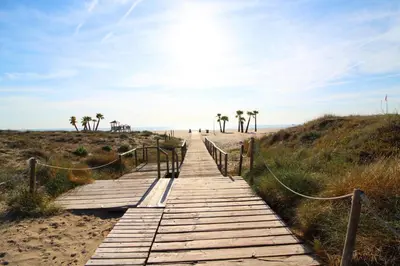 a wooden boardwalk to the beach with palm trees at Global Vacacional, Apartamento céntrico en Canet d'en Berenguer in Canet de Berenguer