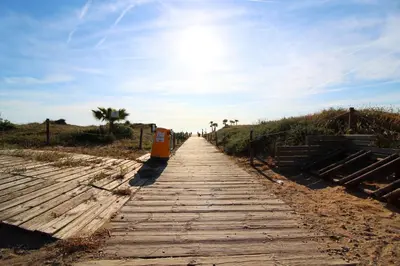 a wooden boardwalk leading to a beach with palm trees at Global Vacacional, Apartamento céntrico en Canet d'en Berenguer in Canet de Berenguer