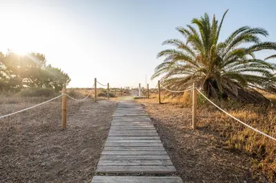 a wooden path with a palm tree on a beach at Global Vacacional, Adosado en primera linea de playa con vistas al mar in Sagunto