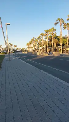 a street with palm trees on the side of the road at Lyesblb in Valencia