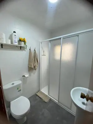 a bathroom with a shower and a toilet and a sink at La Chirrichana 2 in Bicorp