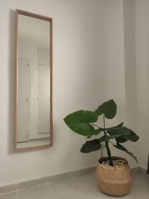 a plant in a basket in front of a mirror at Apartamento rural Casa Calo in Losa del Obispo