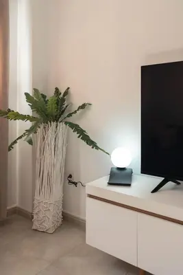 a plant in a vase next to a tv at Magnifico apartamento cerca del centro con A.A. - CID 2 in Burriana