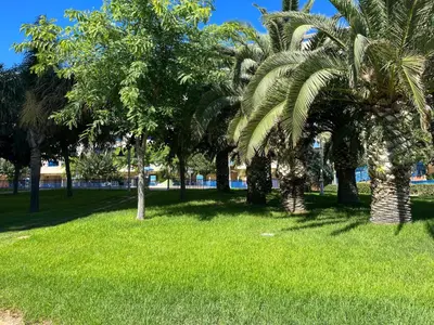a group of palm trees in a park at Ático frente al mar, PataconaBlue, complejo vacacional in Valencia