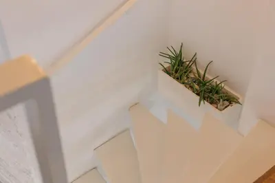 a plant on a white wall in a room at Artistic Loft, Full Of Light - City Center Ruzafa in Valencia