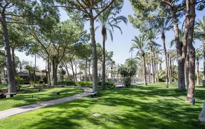 a park with palm trees and a path at El Oasis Villa Resort in La Eliana