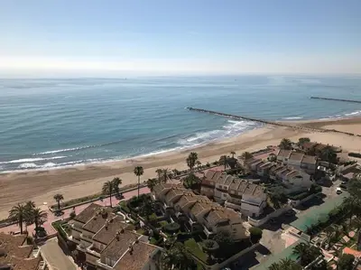 an aerial view of a beach with palm trees and houses at The Beach Apartment in El Puig
