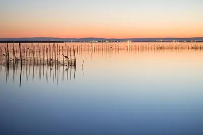 a view of a body of water at sunset at Aparthotel Albufera in Alfafar
