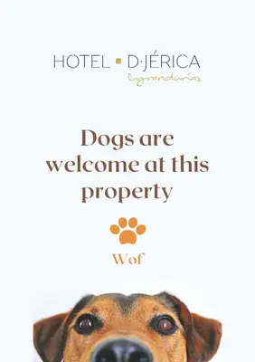 a dog is looking up at the camera at Hotel De Jerica in Jérica