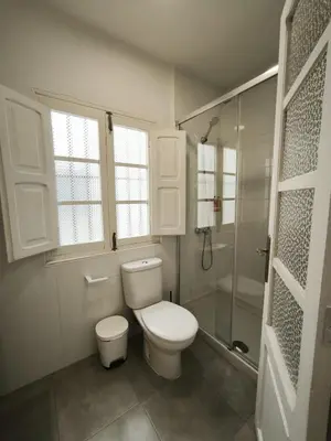 a white bathroom with a toilet and a shower at FLORIT FLATS - The Ausias March Apartment in Valencia