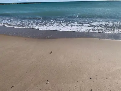 a view of the beach with the ocean at Realrent Neo Mediterráneo in Barrio-Mar