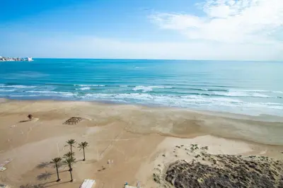 an overhead view of a beach with palm trees and the ocean at ESPACIO 18 - Primera Línea de Playa in Cullera