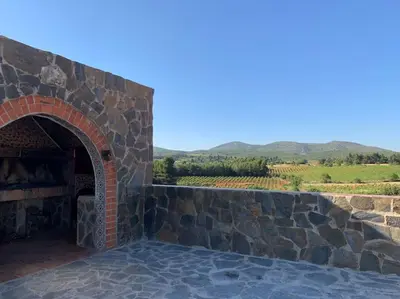 a stone fireplace with a view of a vineyard at El-cortijo in Siete Aguas