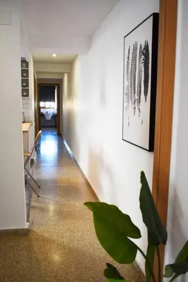 a hallway with a plant in a room at Departamento céntrico para disfrutar en familia in Sagunto