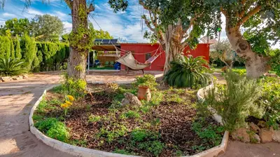 a hammock in a garden with trees and plants at Orange Blossom Finca Unique in Valencia