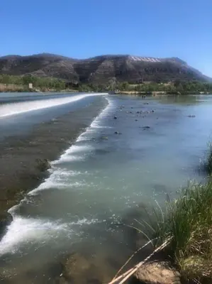 a river with a bunch of birds in the water at Racó de la Mar in Faro de Cullera