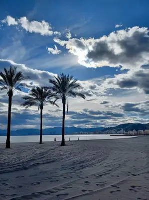 three palm trees on a beach with a cloudy sky at Racó de la Mar in Faro de Cullera