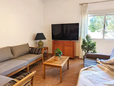 a living room with couches and a flat screen tv at Terraza con vistas al mar Parking privado 120 mts, junto a la playa in Cullera